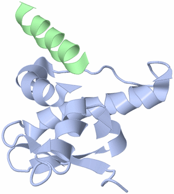 Image NMR Structure - model 1