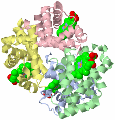 Image Biological Unit 1