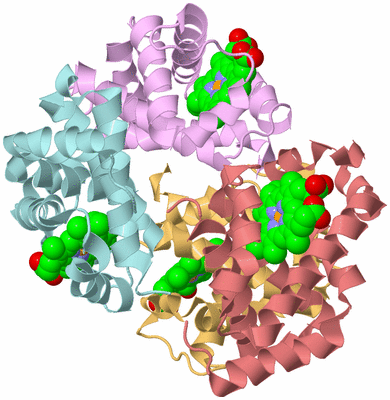 Image Biological Unit 2