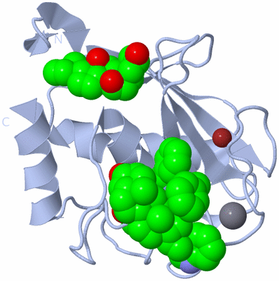 Image Biological Unit 1