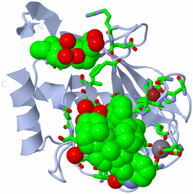 Image Biol. Unit 1 - sites