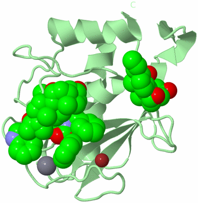 Image Biological Unit 2