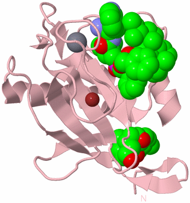 Image Biological Unit 3