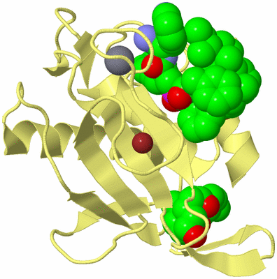 Image Biological Unit 4