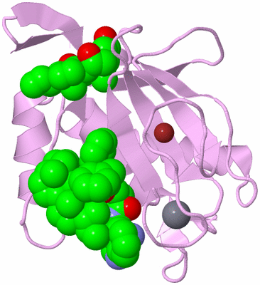 Image Biological Unit 5