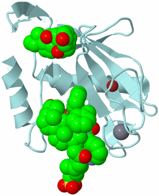 Image Biological Unit 6