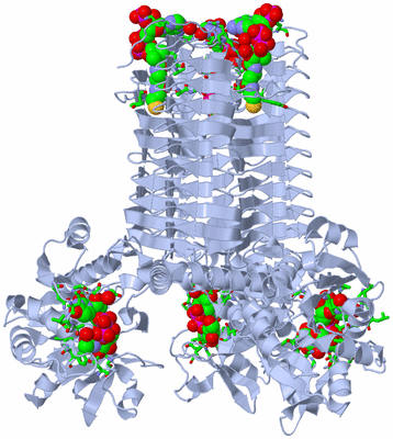 Image Biol. Unit 1 - sites