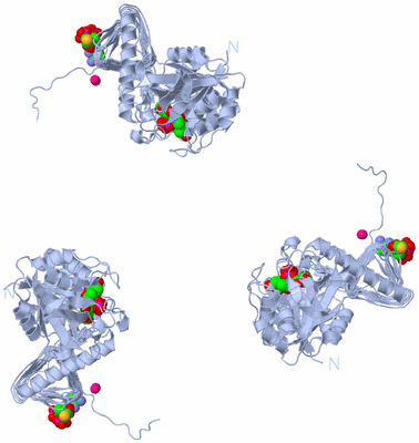 Image Biological Unit 3