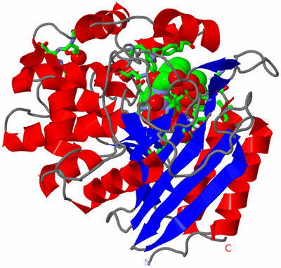 Image Asym./Biol. Unit - sites