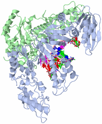 Image Biological Unit 1