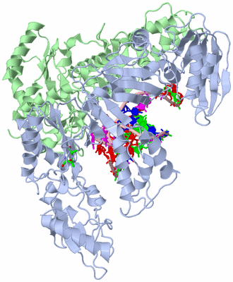 Image Biol. Unit 1 - sites