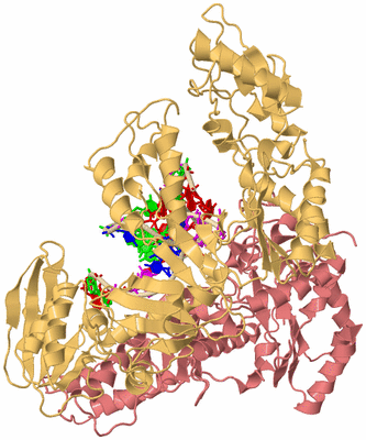 Image Biological Unit 3