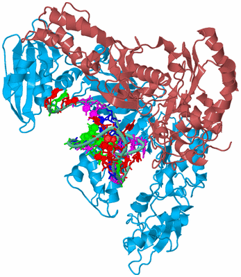 Image Biological Unit 4