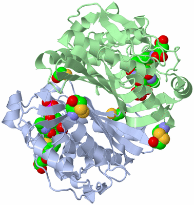 Image Biological Unit 1