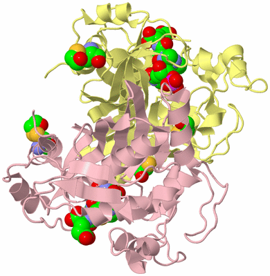 Image Biological Unit 2