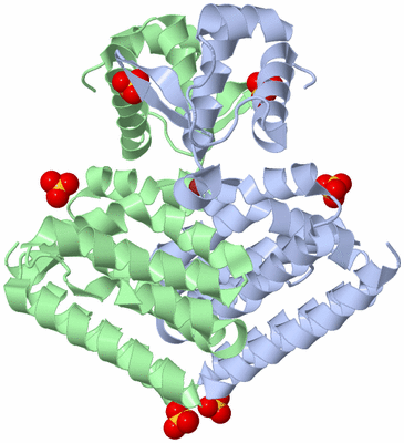 Image Asym./Biol. Unit