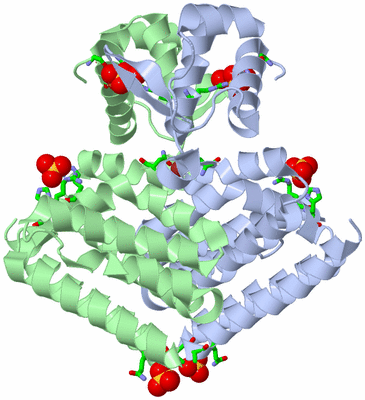 Image Asym./Biol. Unit - sites