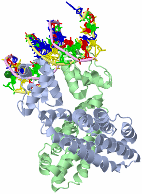 Image Asym./Biol. Unit