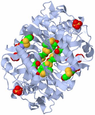 Image Biological Unit 1