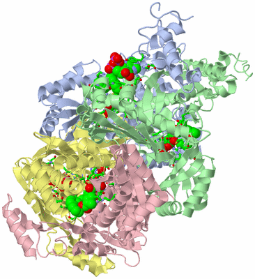 Image Asym./Biol. Unit - sites