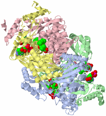 Image Asym./Biol. Unit