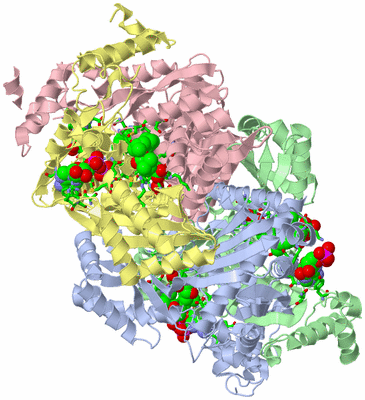 Image Asym./Biol. Unit - sites