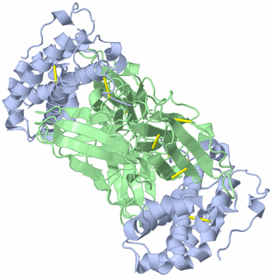 Image Biological Unit 1