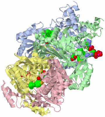 Image Asym./Biol. Unit