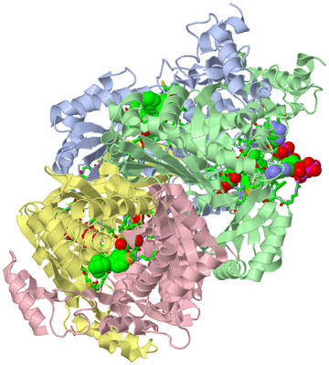 Image Asym./Biol. Unit - sites