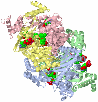 Image Asym./Biol. Unit