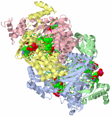 Image Asym./Biol. Unit - sites