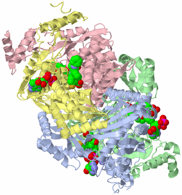 Image Asym./Biol. Unit