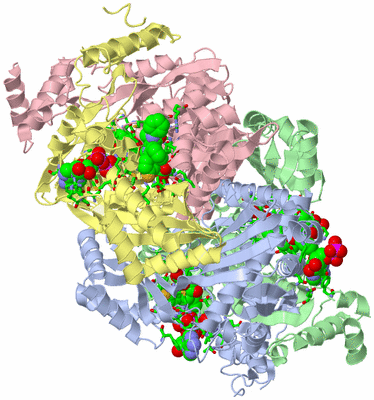 Image Asym./Biol. Unit - sites