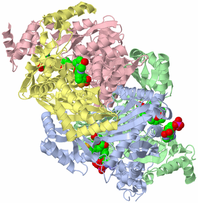 Image Asym./Biol. Unit