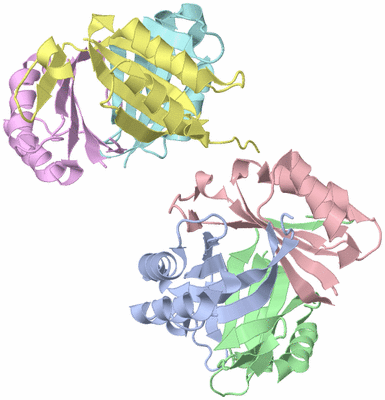 Image Asymmetric Unit