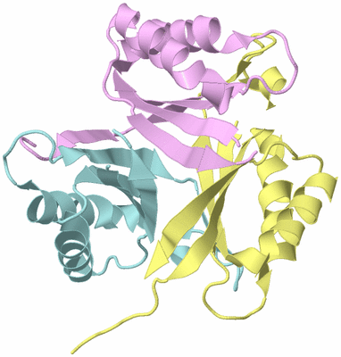 Image Biological Unit 2