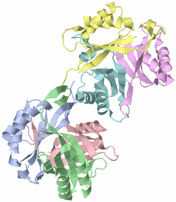 Image Biological Unit 3
