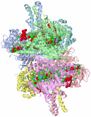 Image Asym./Biol. Unit - sites