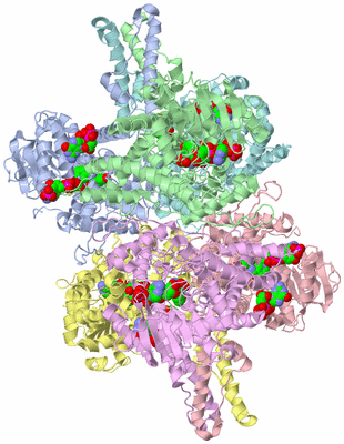 Image Asym./Biol. Unit