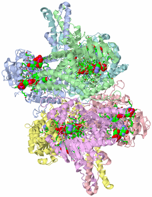 Image Asym./Biol. Unit - sites