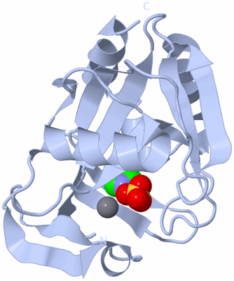 Image Biological Unit 1