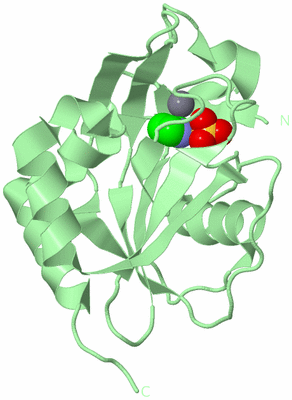 Image Biological Unit 2