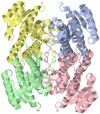 Image Asym./Biol. Unit