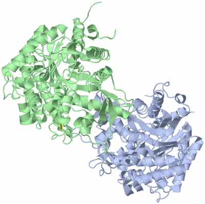 Image Asym./Biol. Unit