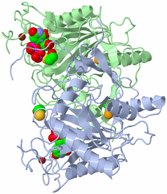 Image Asym./Biol. Unit