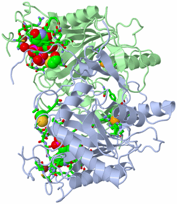 Image Asym./Biol. Unit - sites