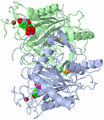 Image Asym./Biol. Unit