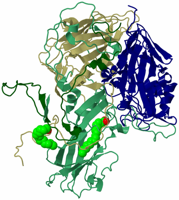 Image Asymmetric Unit