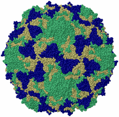 Image Biological Unit 1