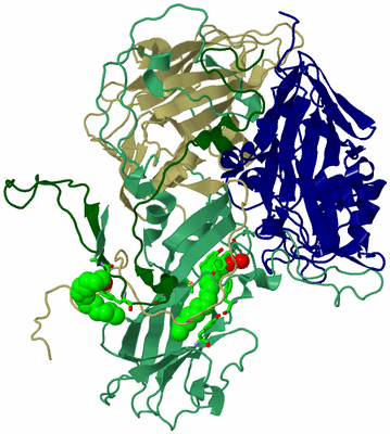Image Asym. Unit - sites